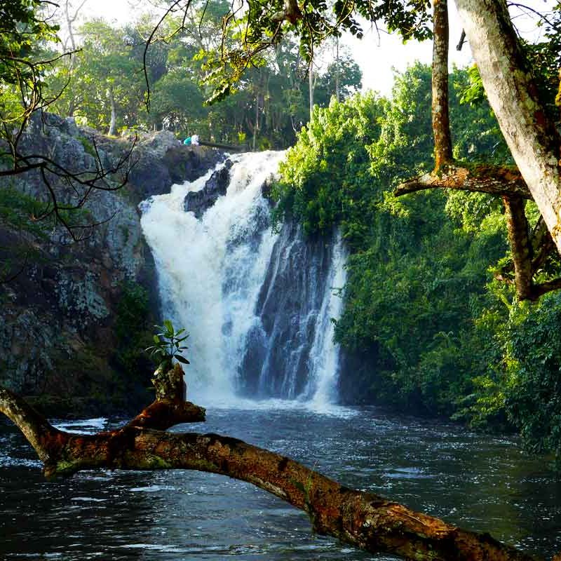 1-day-jinja-tour-with-mabira-sezibwa-source-of-the-nile