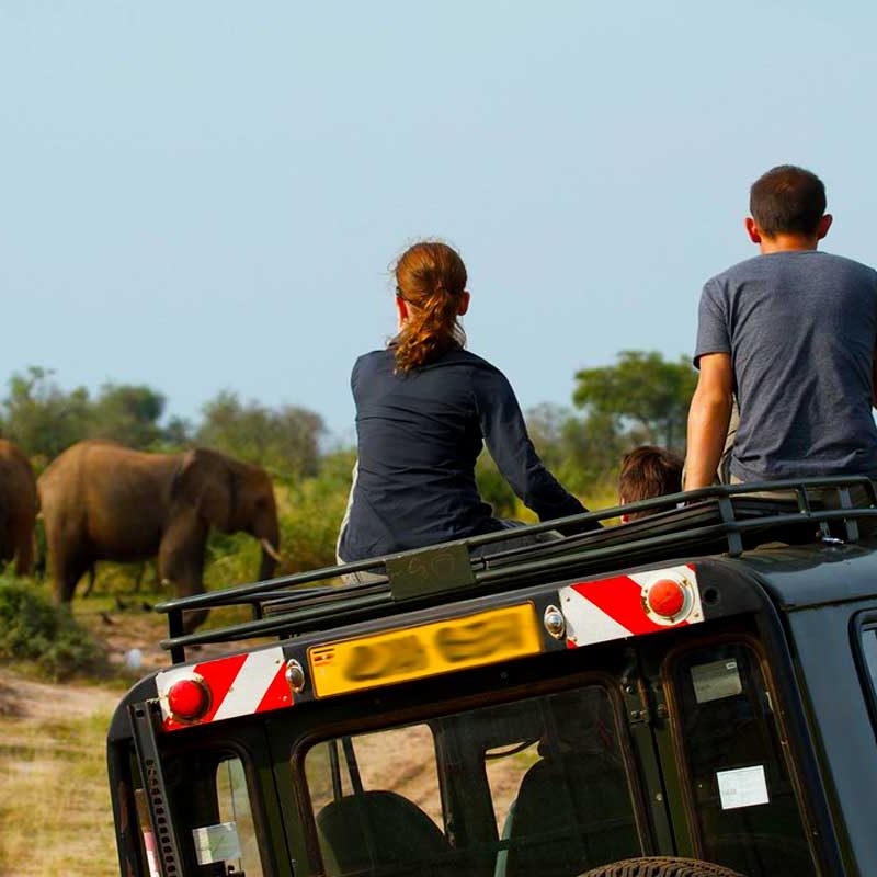 3-days-murchison-falls-safari
