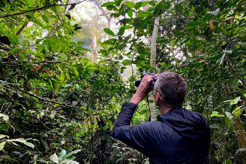 5-days-chimpanzee-trek-gorilla-trekking-in-uganda