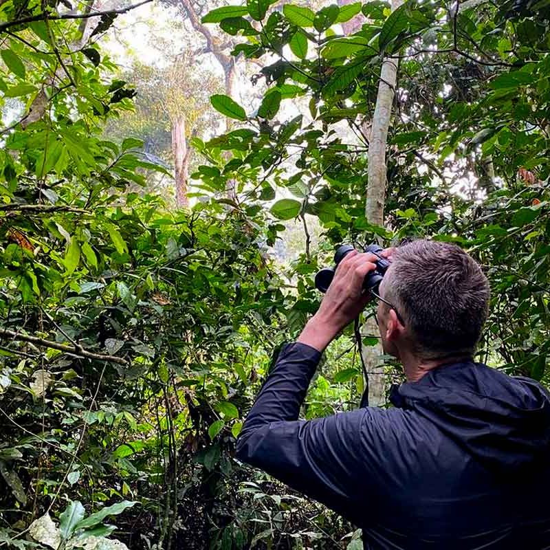 5-days-chimpanzee-trek-gorilla-trekking-in-uganda